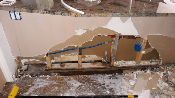 Best Water damage mitigation services  in Plant City, FL