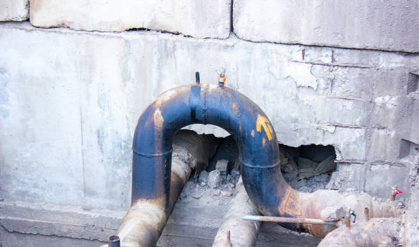 Best Ceiling water damage repair  in Plant City, FL